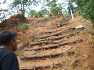 into the wild trekking the amazing rainforest of mathar dev hill year 2009 askdushyant
